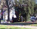 Le site aprés la danse et les milliers de feuilles répendues sur le col. - Janvier 2007